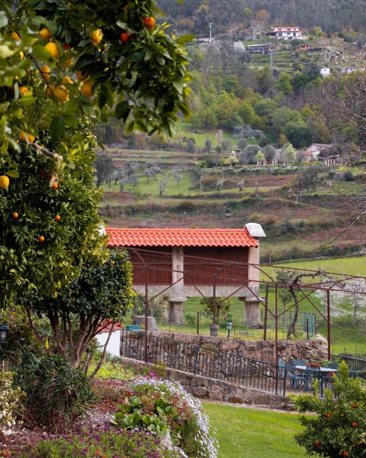 Quinta Do Tapadinho - Wine & Tourism Villa Moimenta Exterior photo