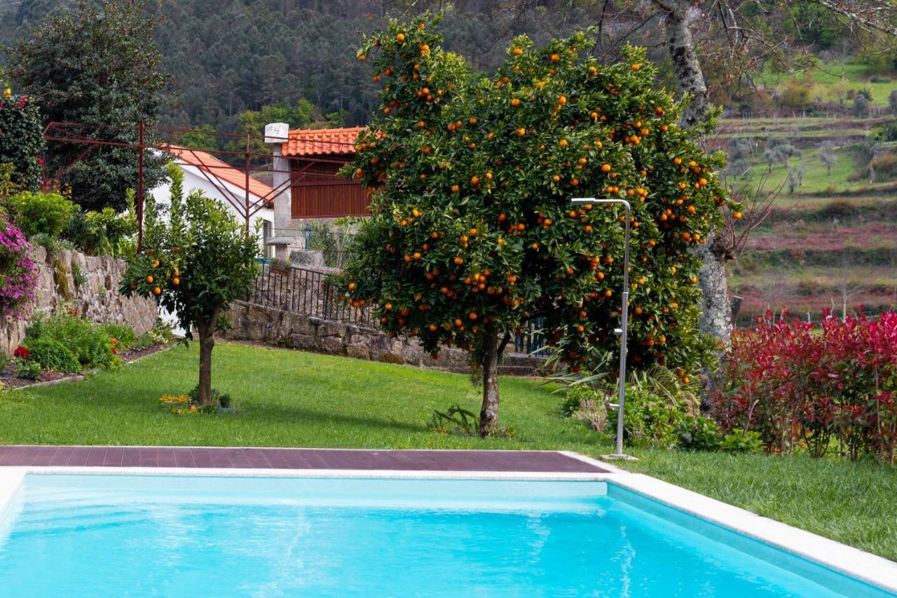 Quinta Do Tapadinho - Wine & Tourism Villa Moimenta Exterior photo