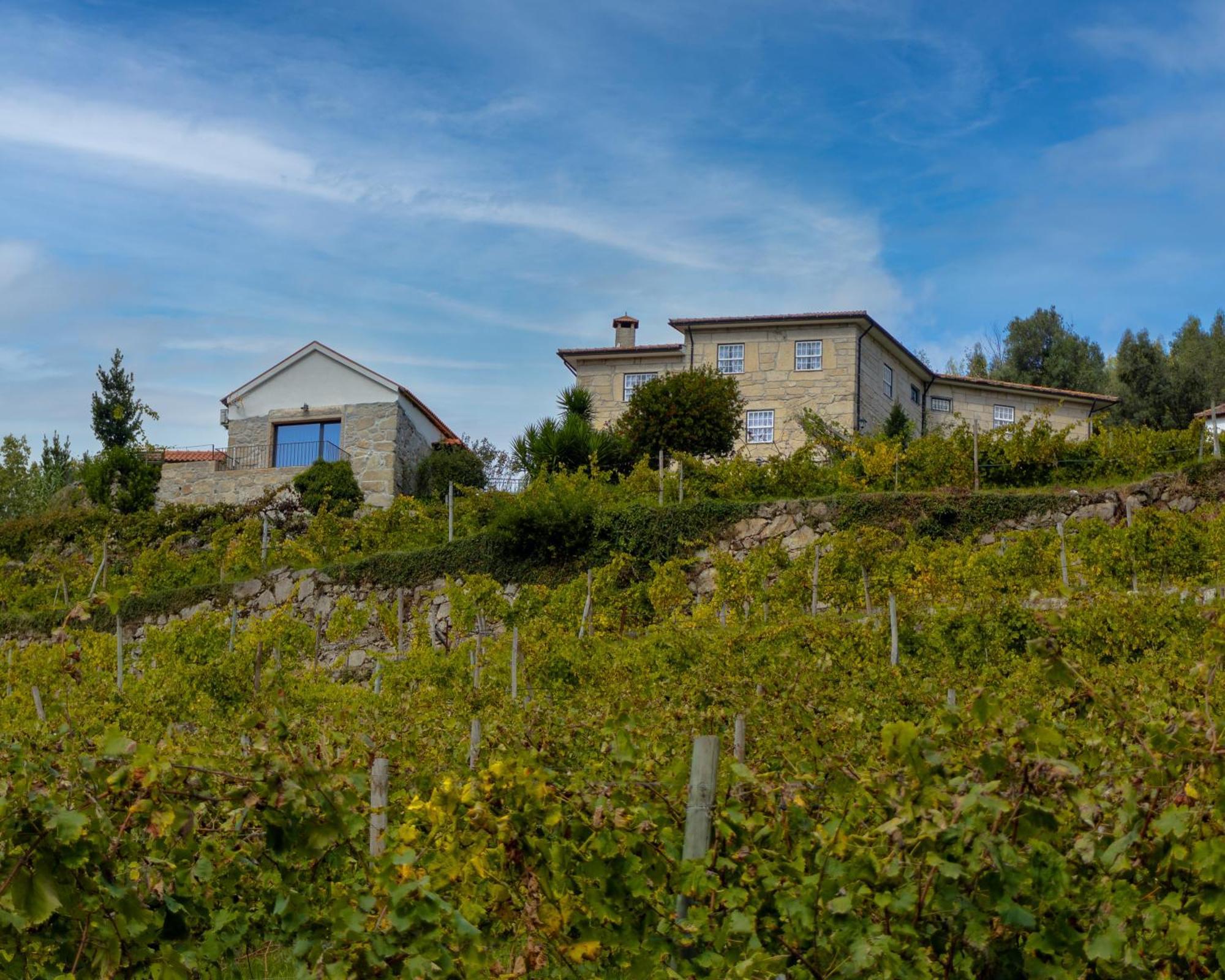 Quinta Do Tapadinho - Wine & Tourism Villa Moimenta Exterior photo